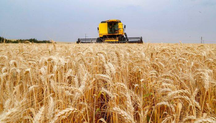  Secretaria da Agricultura orienta produtores do Paraná sobre mudanças no Plano Safra